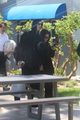 kourtney kardashian travis barker return home to la after wedding 05
