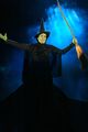 idina menzel addresses possibly appearing in wicked movie 01