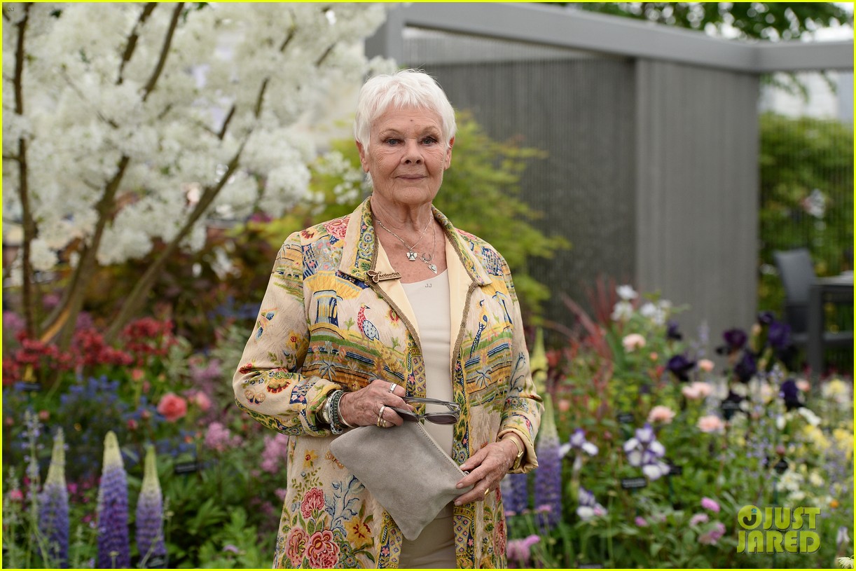 Judi Dench Was Once Told By a Director She Had 'Wrong Face' for Movies