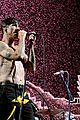 red hot chili peppers tour 07
