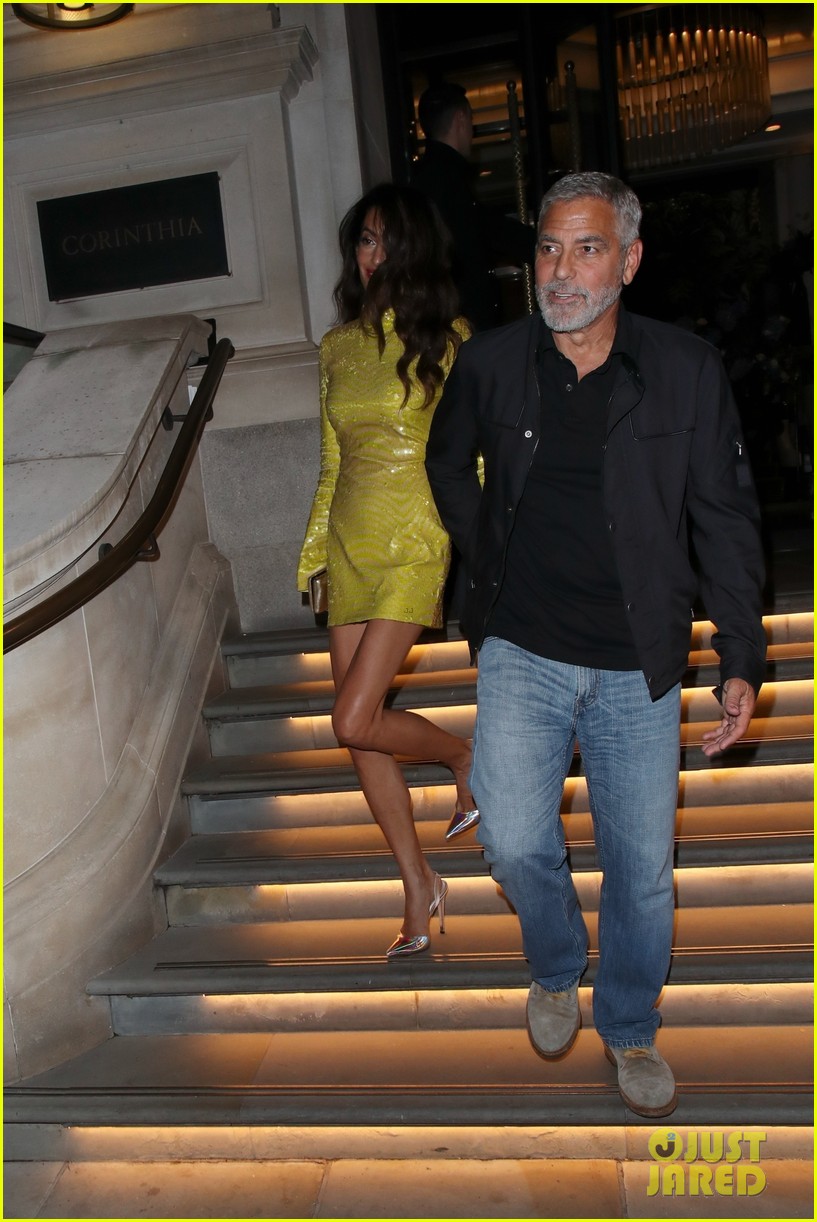 plus size tiger print dress