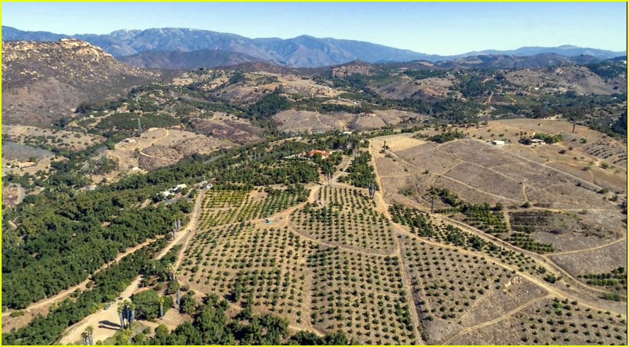 Sandra Bullock Lists Her Avocado Ranch for $6 Million - See Photos from ...