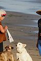 ian somerhalder beach malibu dogs 06