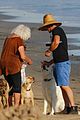 ian somerhalder beach malibu dogs 07