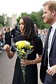 meghan markle prince harry reunite with william kate 42