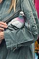 sarah jessica parker pigeon handbag 01