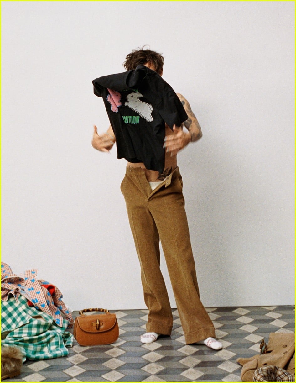 Harry Styles Strikes a Playful Pose in Gucci HA HA HA Campaign Photos ...