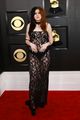 gayle two toned hair sheer dress to grammys 01