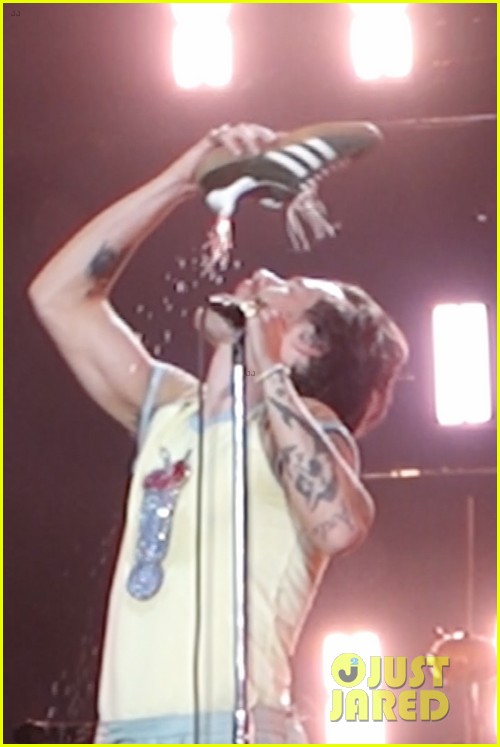Harry Styles Does a 'Shoey,' Drinks Beer Out of Shoe in Australian