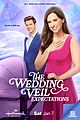 wedding veil success lacey chabert alison sweeney quotes 01