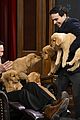 keanu reeves puppies tonight show 03