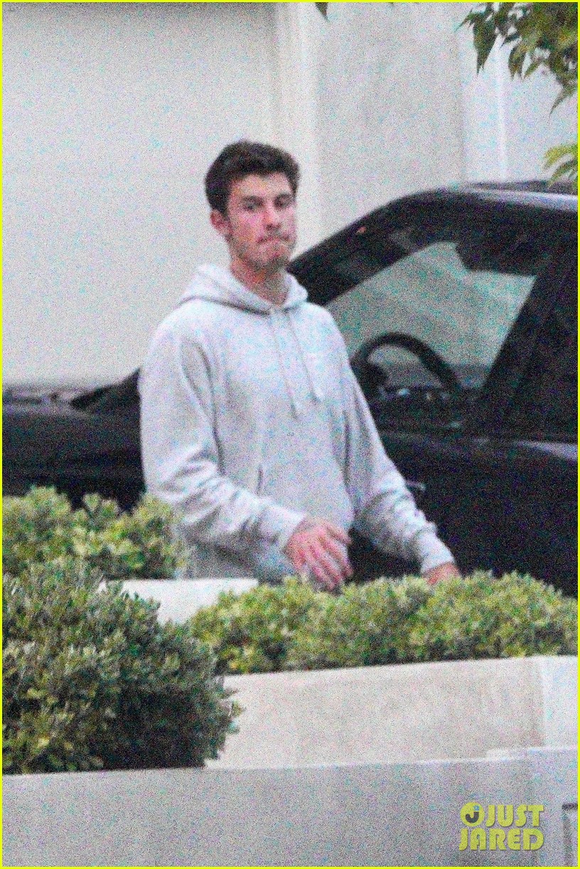 Shawn Mendes Hugs Dr. Jocelyne Miranda Days After Reigniting Camila