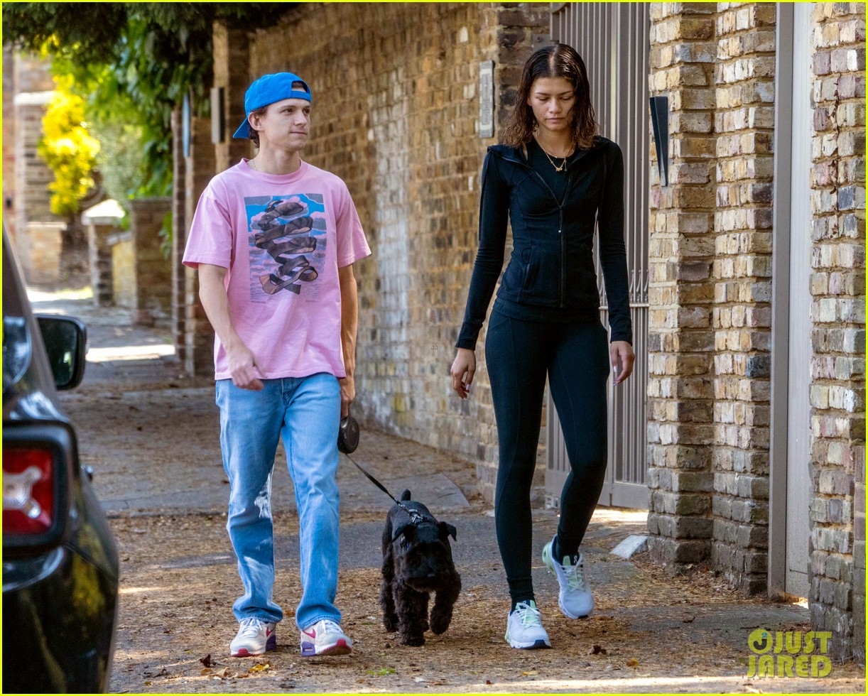 Zendaya Dog