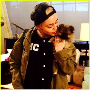 Miley Cyrus Places Her New Dog Moonie in a New Home