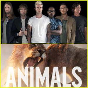 Maroon 5 Premiere New 'V' Single, 'Animals' – Watch the Lyric Video Now! Maroon  5 Premiere New 'V' Single, 'Animals' – Watch the Lyric Video Now! | Adam  Levine, First Listen, Maroon 5 | Just Jared
