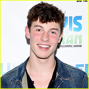 Shawn Mendes Says He Is Not Gay in New Snapchat Video