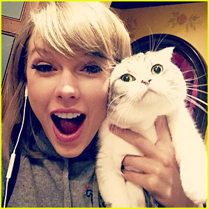 Taylor Swift’s Cat Meredith Watches Fans from NYC Window | Celebrity
