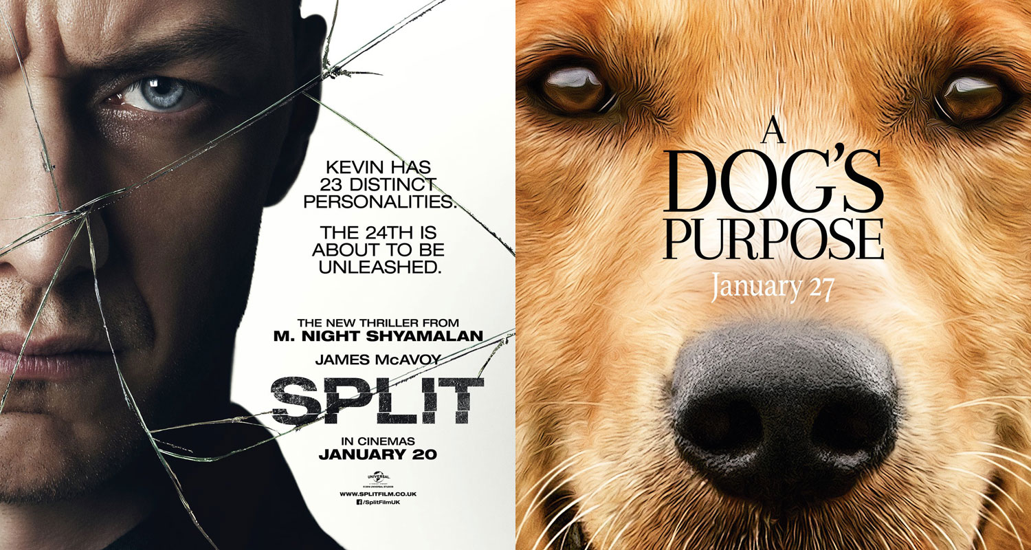 ‘Split’ Beats Controversial Film ‘A Dog’s Purpose’ at Box Office A