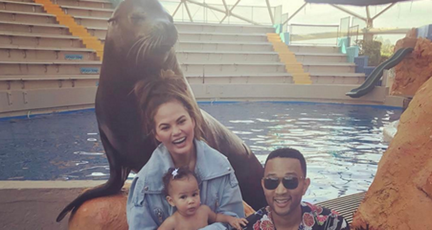 Chrissy Teigen, John Legend, & Daughter Luna Visit Seaquarium Before