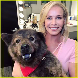 Chelsea Handler Pens Heartfelt Goodbye to Beloved Dog Tammy | Chelsea ...