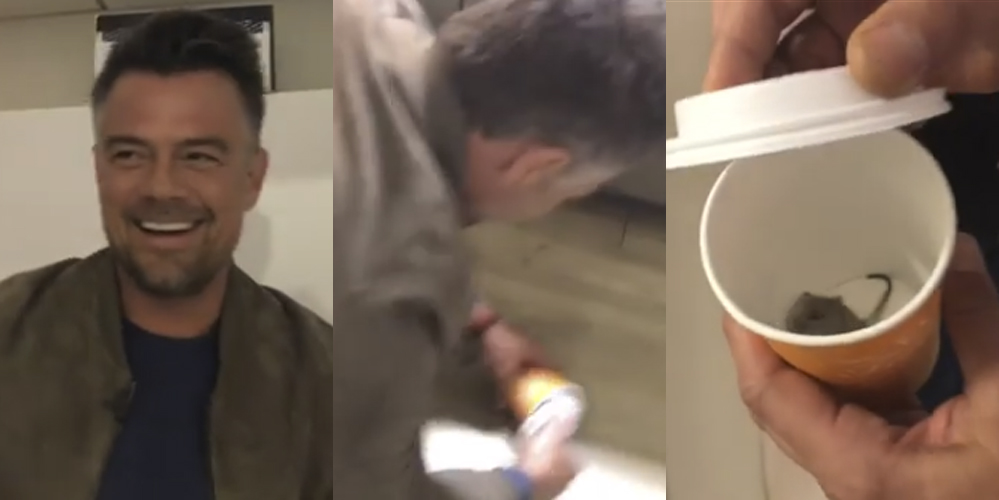 Josh Duhamel Caught a Mouse in the ‘Today Show’ Green Room (Video) Al(01)