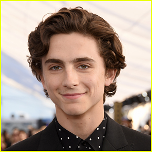 Fan Sits Next to Timothee Chalamet on a Flight, Tweets About Every Detail!