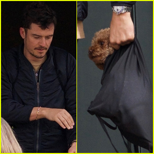 Orlando Bloom Brings Dog Mighty to Lunch with Him!