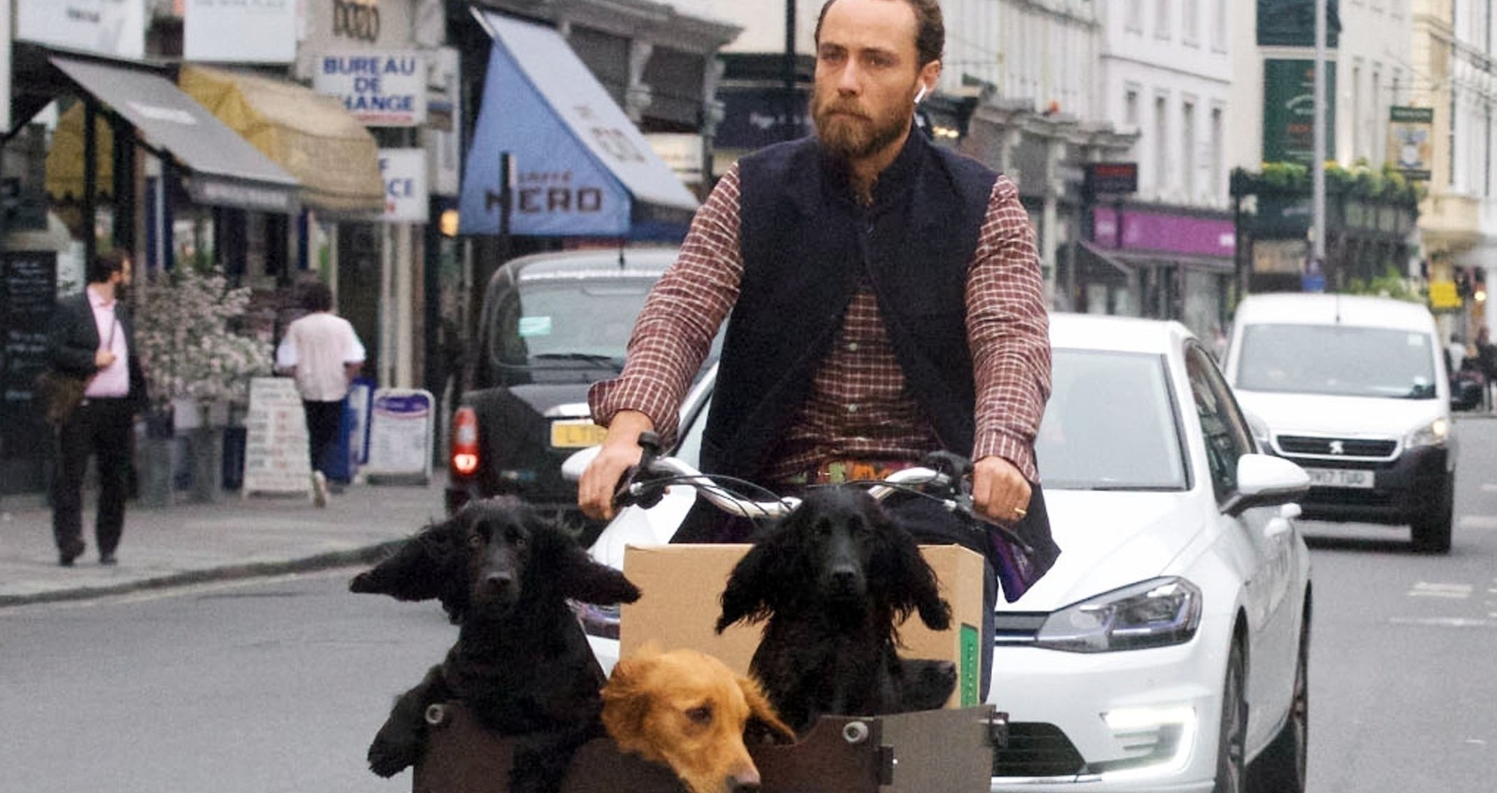 James Middleton Kate & Pippa’s Younger Brother Takes His 3 Dogs on
