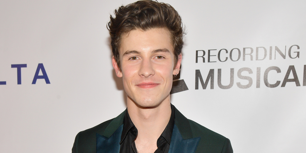 Shawn Mendes Surprises Fan at Manchester Arena Concert Who Was Still