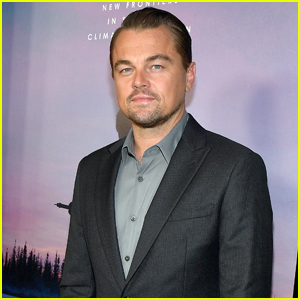 Leonardo DiCaprio Suits Up for HBO's 'Ice on Fire' Premiere