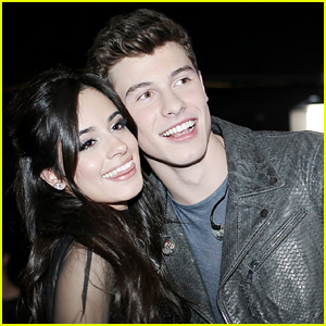 Shawn Mendes & Camila Cabello Spotted Holding Hands, Spend July 4th Together!