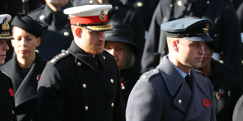 Prince Harry Wore His Remembrance Poppy Differently For This Reason
