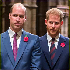 Prince Harry & Prince William's Royal Rift Rumors Confirmed By Friend Who Spoke All About Their 'Dispute'