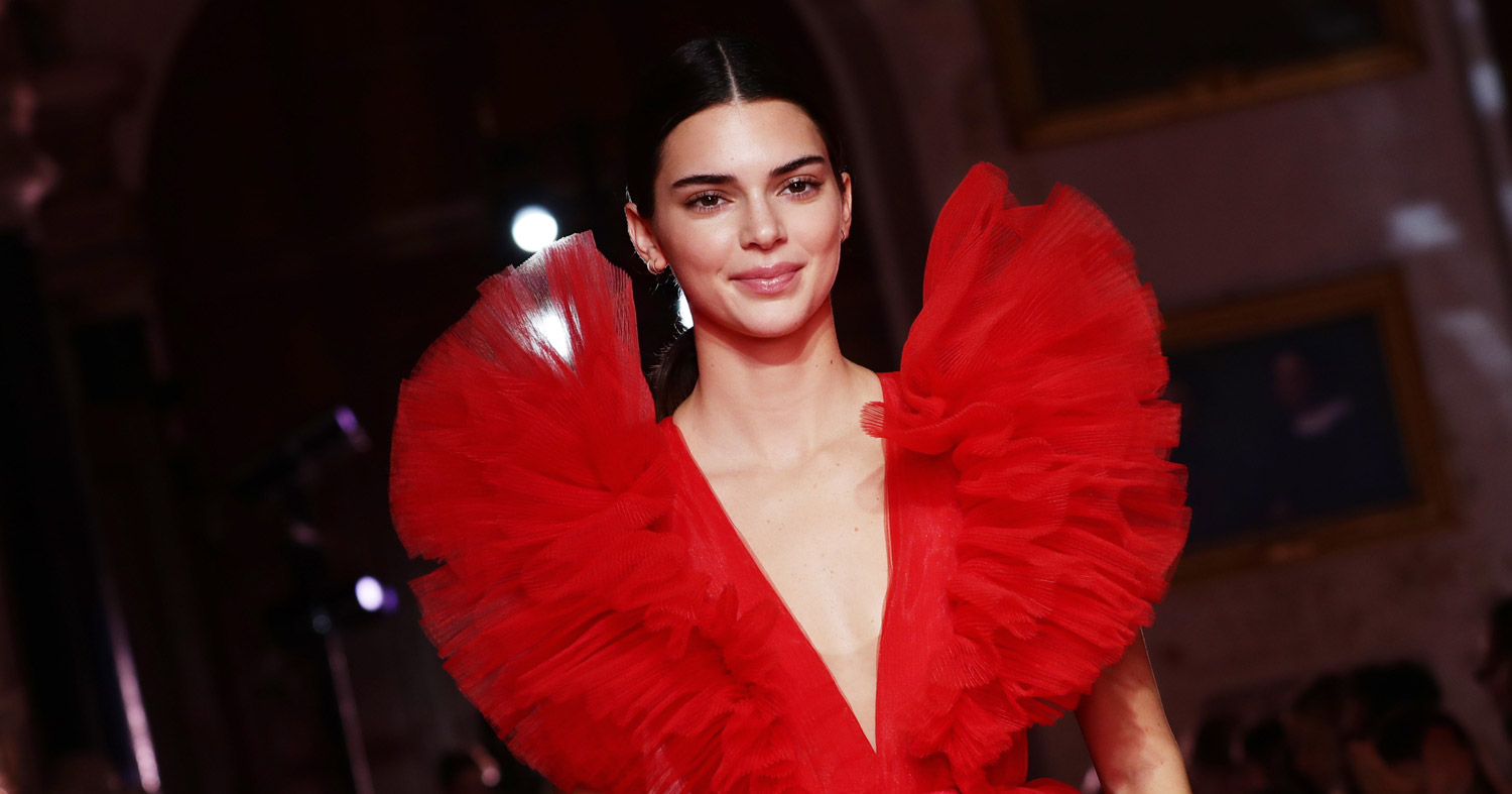 TikTok Verified a Fake Kendall Jenner Account By Accident | Kendall