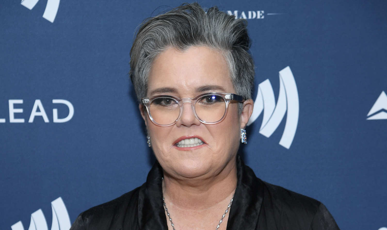 ‘Rosie O’Donnell Show’ Comeback Special Raises $500,000 for The Actors Fund...