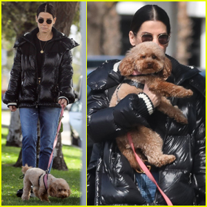 Sandra Bullock Bundles Up While Taking Her Dog for a Walk