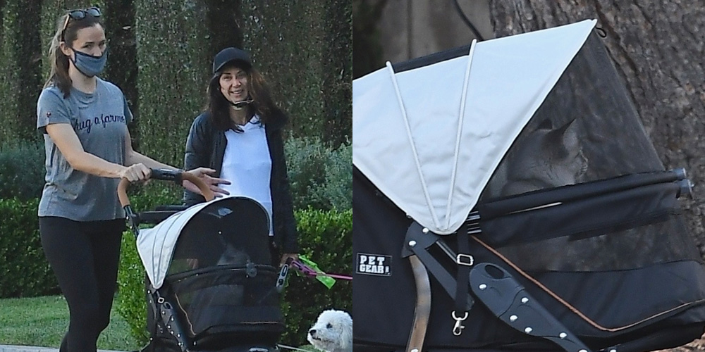 Jennifer Garner Explains Why She’s Been Using a Cat Stroller During