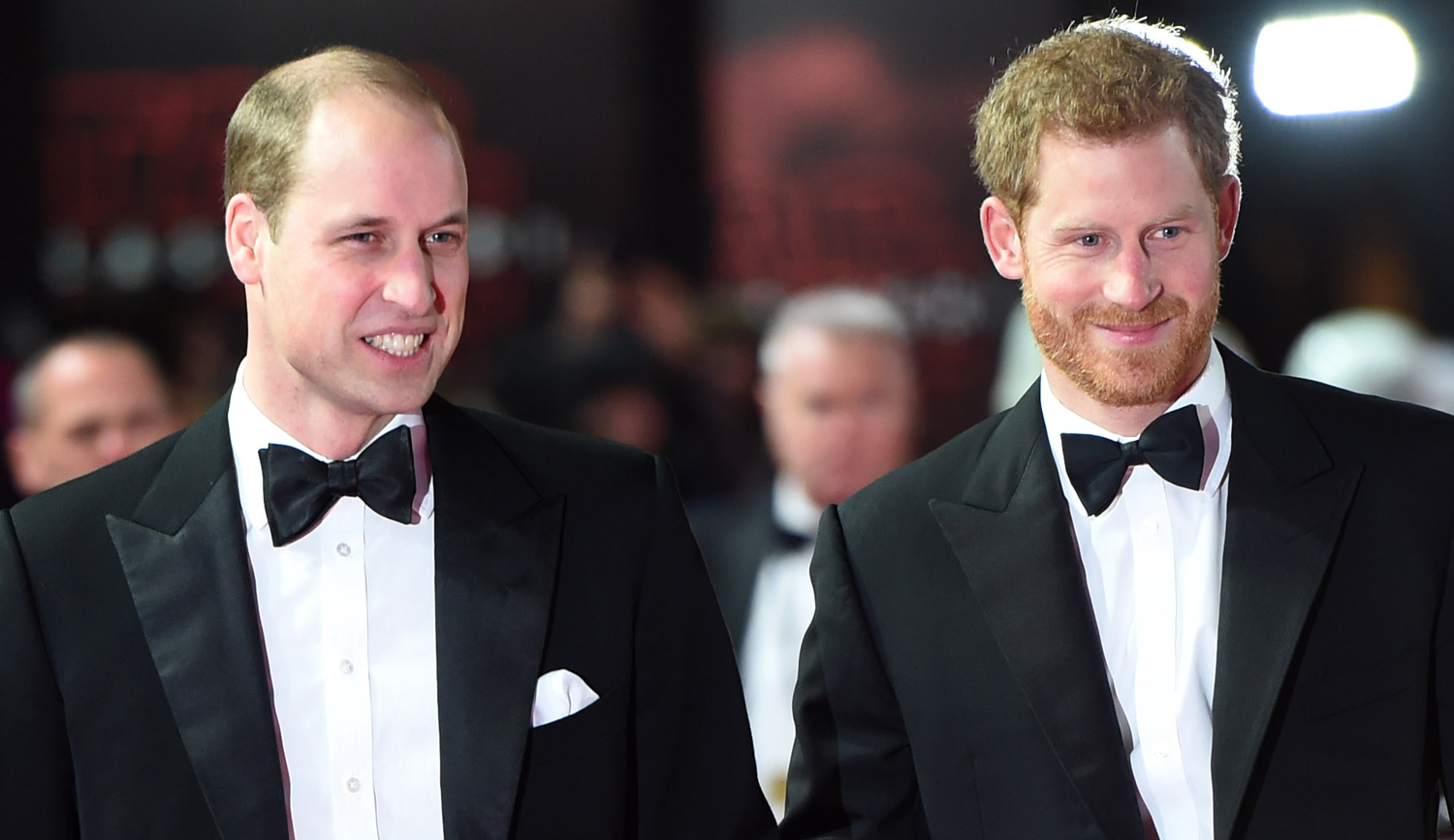 overschot kunst Gezichtsveld Prince Harry & Prince William Release Rare Joint Statement About Honoring  Their Mom Princess Diana | Prince Harry, Prince William, Princess Diana |  Just Jared