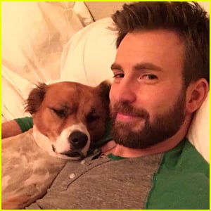 Chris Evans Fans Are Sharing Photos of Him With His Dog Instead of THAT Photo