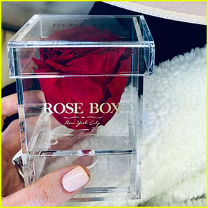 Give a Beautiful Gift With This Genuine Rose Jewelry Box That Lasts a Year