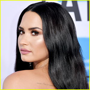 Demi Lovato's Thoughts on 2020 Election Echo What Many Are Also Thinking