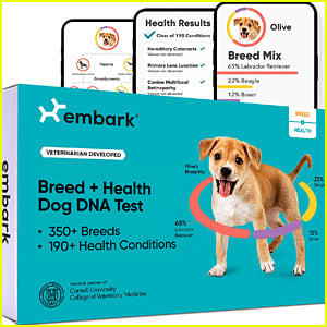 This Dog DNA Test That Has Amazing Reviews Is $64 Dollars Off Right Now