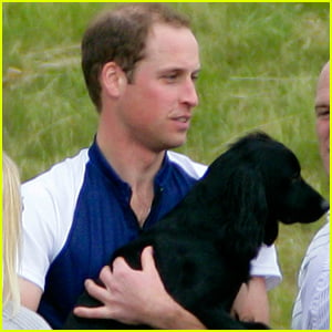 Kate Middleton & Prince William's Dog Lupo Has Passed Away