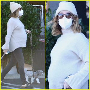 Pregnant Ashley Tisdale Takes Her Dogs with Her While Out Shopping