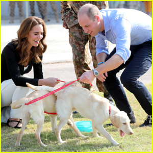 Kate Middleton & Prince William Adopted A New Puppy Just Before Their Other Dog Lupo Died