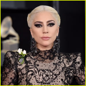 Lady Gaga May Have Been Targeted for Ransom in Dog Kidnapping