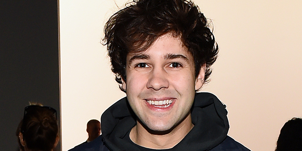 Brands Drop David Dobrik Amid Vlog Squad Allegations David Dobrik, Dominykas Zeglaitis