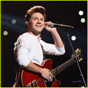 Niall Horan Says Being in One Direction Was Sometimes Like Being a 'Prisoner' Due to Fan Hysteria