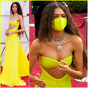 Zendaya Wore a Mask While Seated Inside at Oscars 2021 & Fans Praised Her on Twitter
