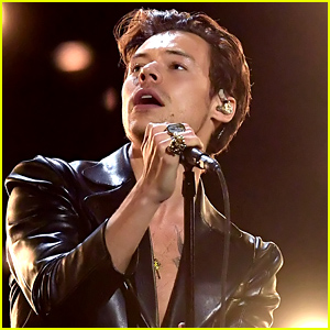 Some Harry Styles Fans Cannot Get Over One Aspect of His Latest Speech